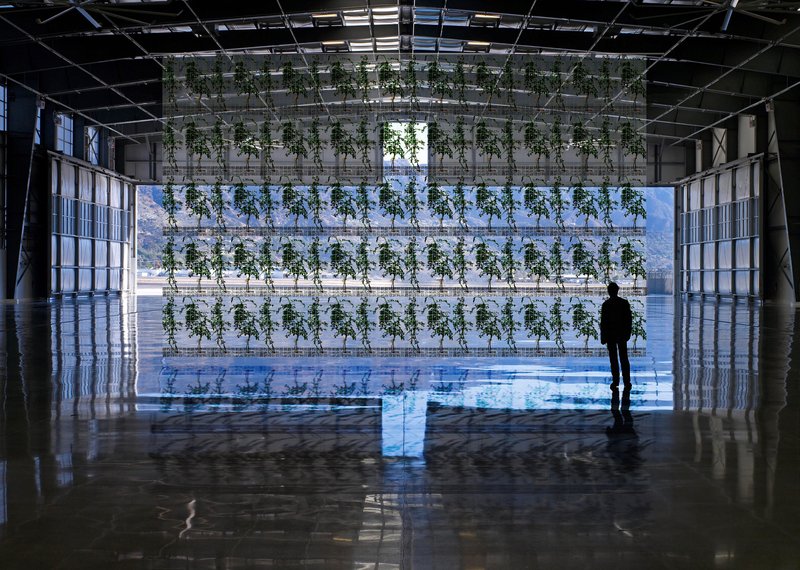 Alex Fischer, Img 6034, 2015-11-07